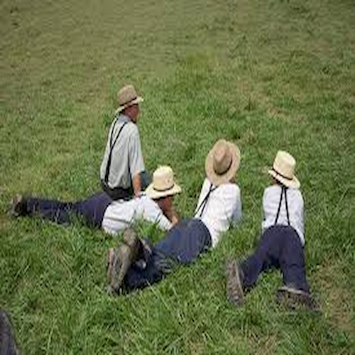 Amish