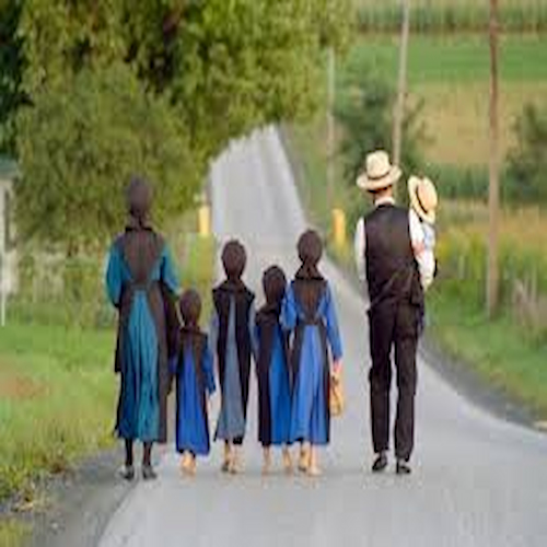The Amish Community of the USA