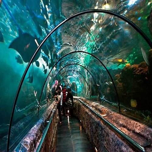 SeaWorld and Aquariums